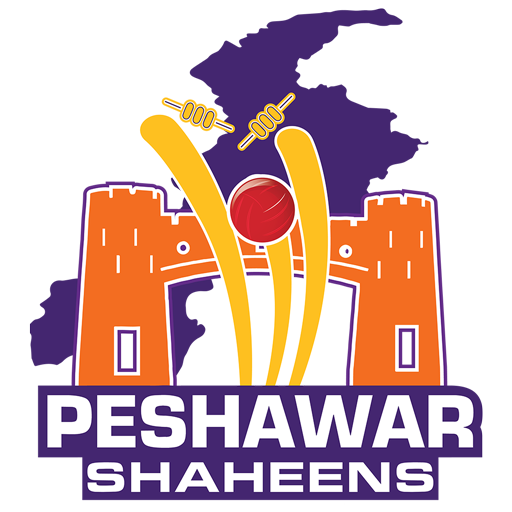 Official logo of Team Peshawar Shaheens, representing Peshawar in PTPL 2025 Season 1