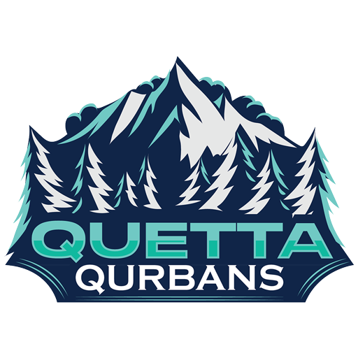 Official logo of Team Quetta Qurbans, representing Quetta in PTPL 2025 Season 1.
